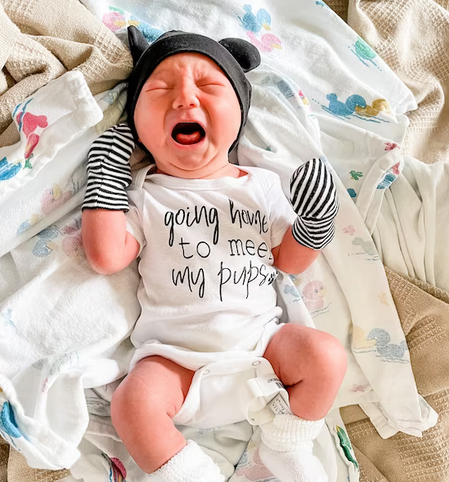 Going Home to Meet My Pups Pregnancy Announcement Onesie